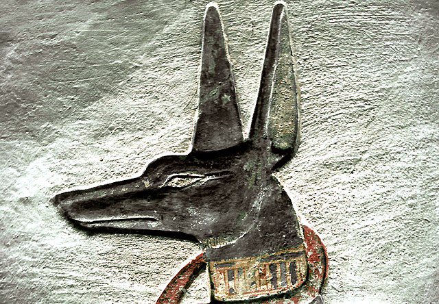 anubis jackal head