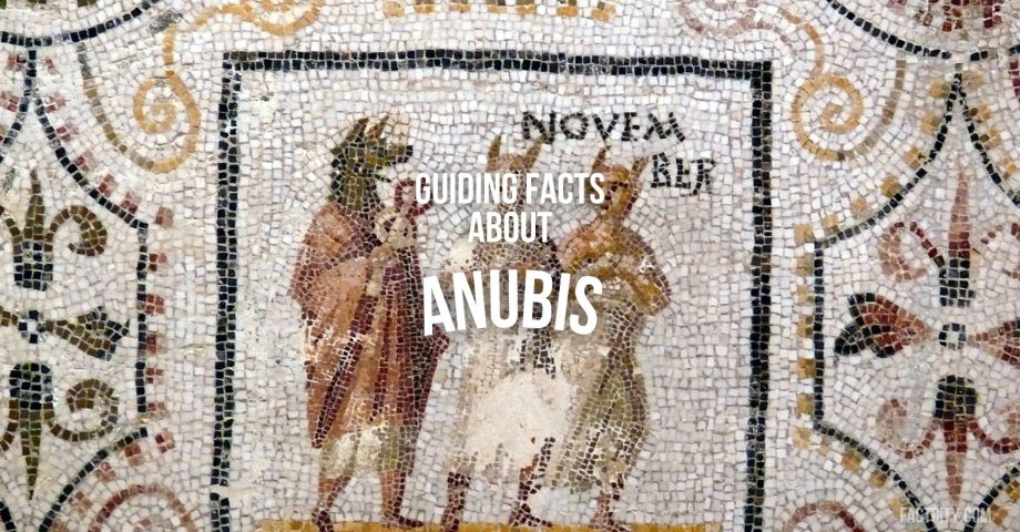 anubis header