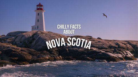 nova scotia header