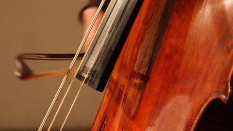 cello