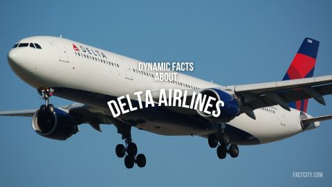 delta airlines