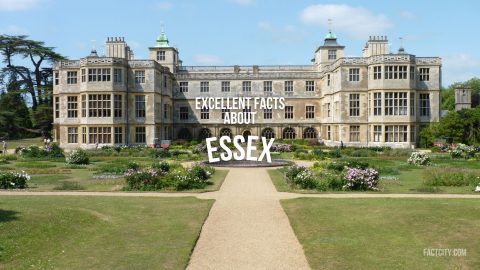 essex