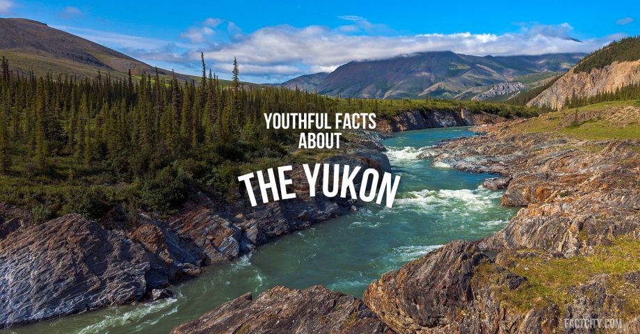 The Yukon