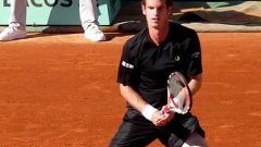 andy murray