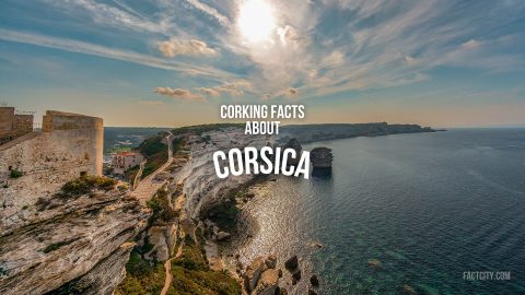 facts about corsica 1