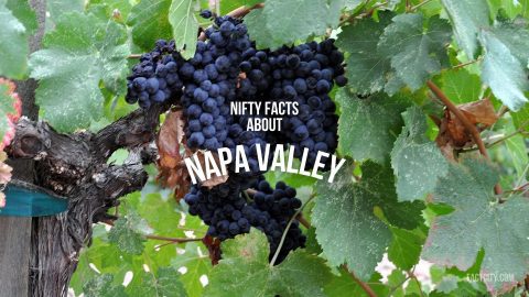 napa valley