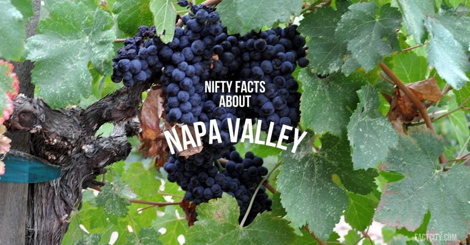 napa valley