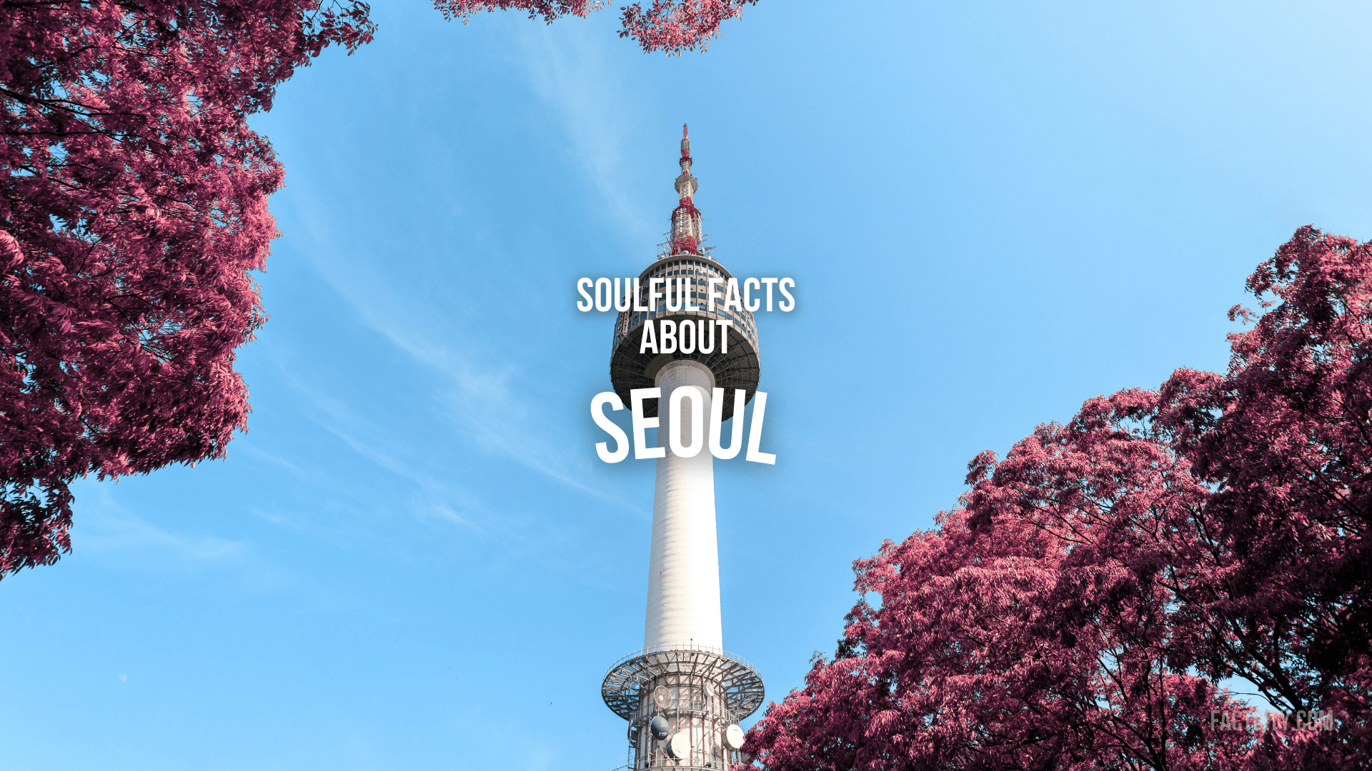 12 Soulful Facts About Seoul