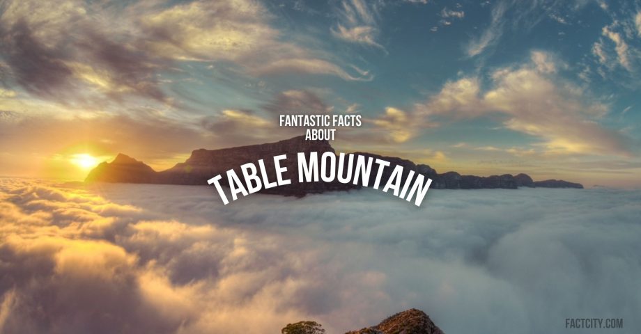 Table Mountain