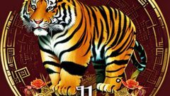 year of the tiger