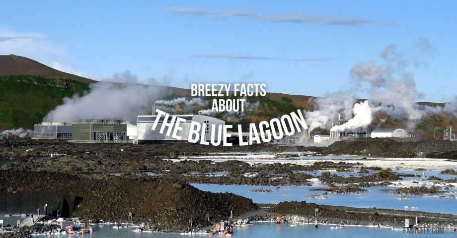 The Blue Lagoon