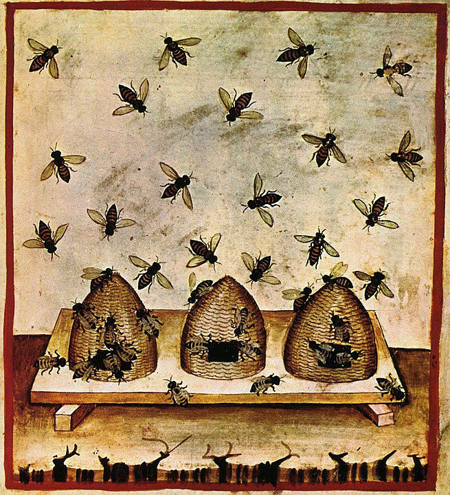 Beekeeping