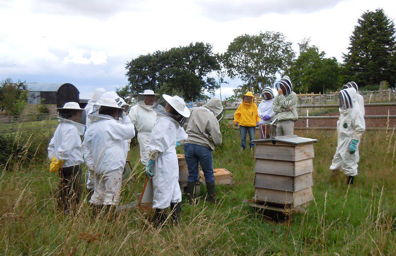 Beekeepers