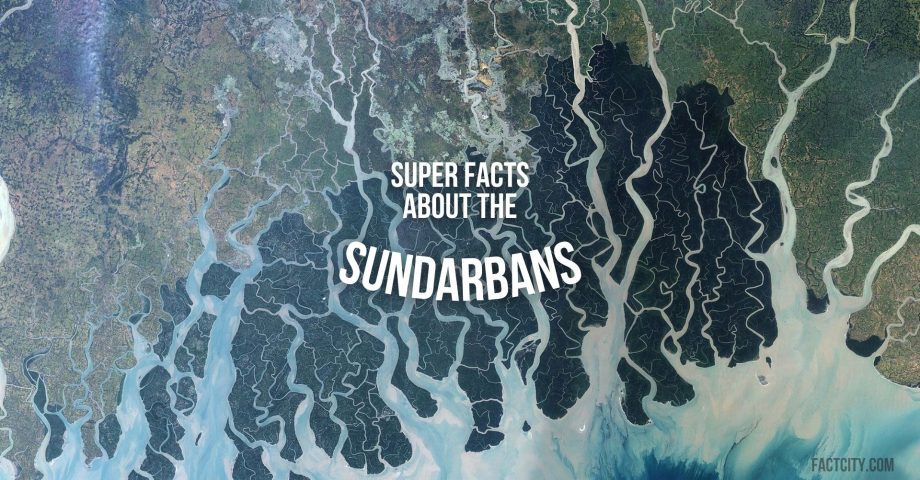 Sundarbans