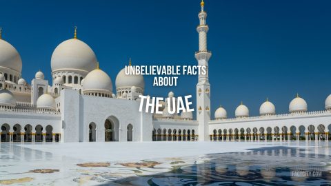 facts about the UAE