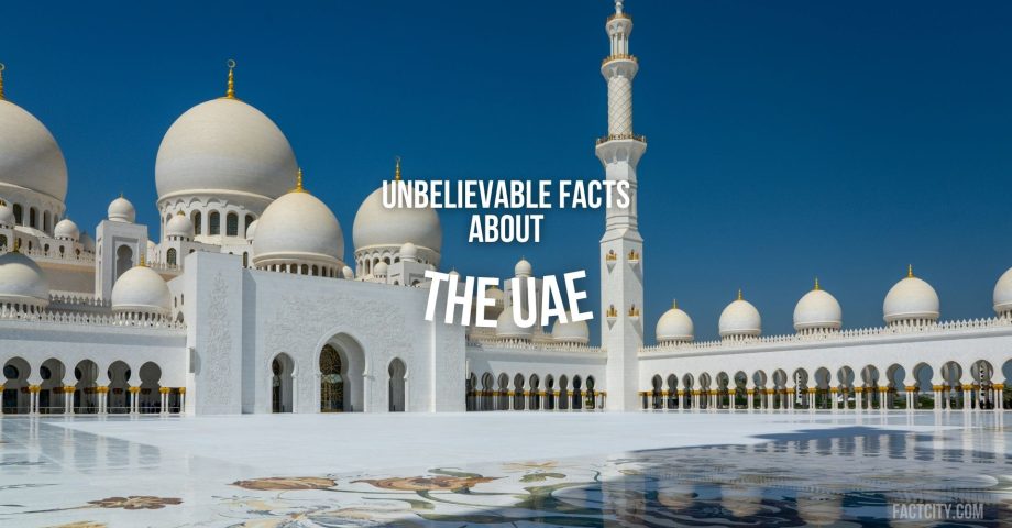 facts about the UAE