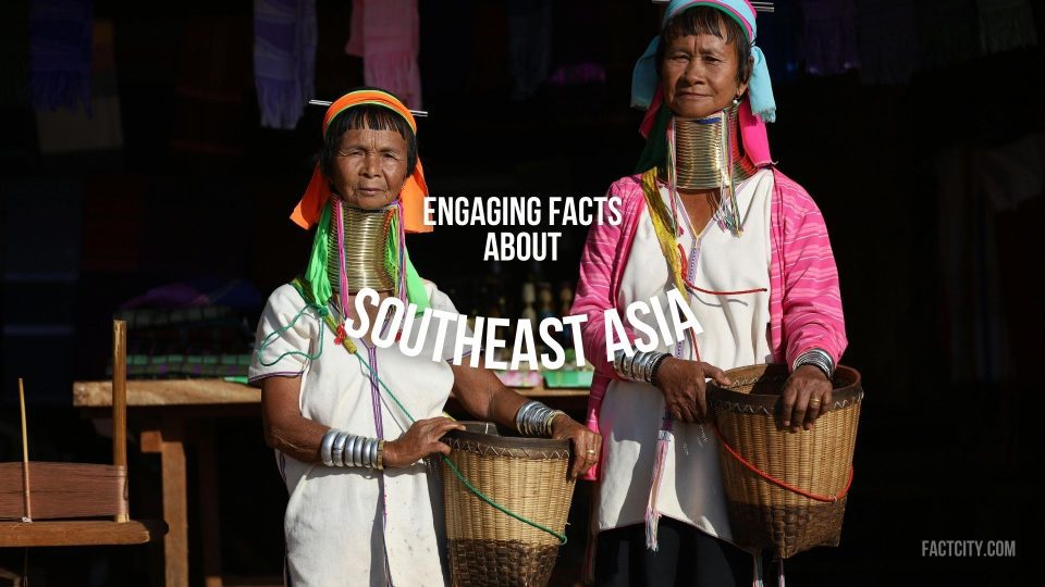 1999 WHAT HAPPENED IN WORLD visual data 5