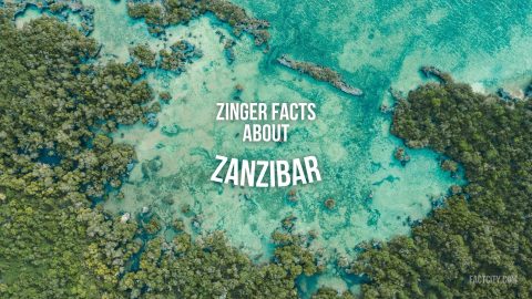 Zanzibar