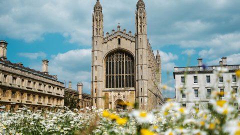 Fascinating Facts About the UK University System