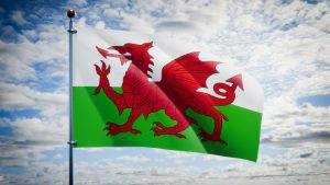 The Welsh Flag