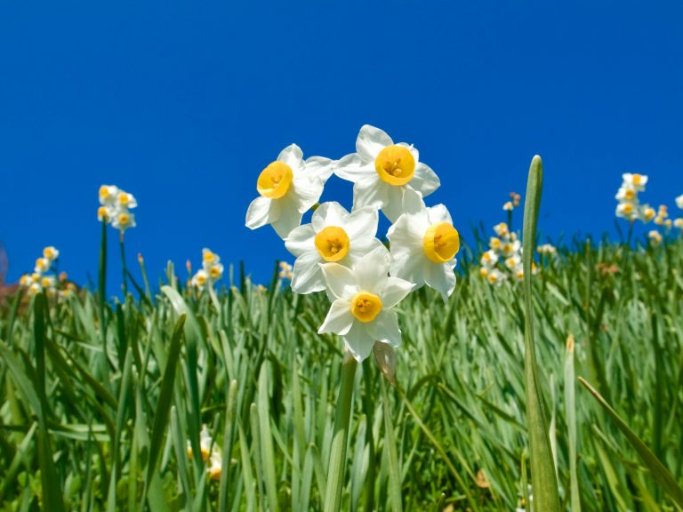 n suma ugJZET0l1n4 unsplash
