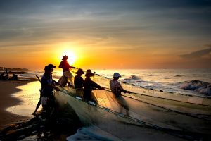 Fishermen bringing in a net